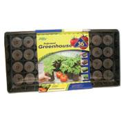 Jiffy Professinal Greenhouse 36 - Tomato Starter